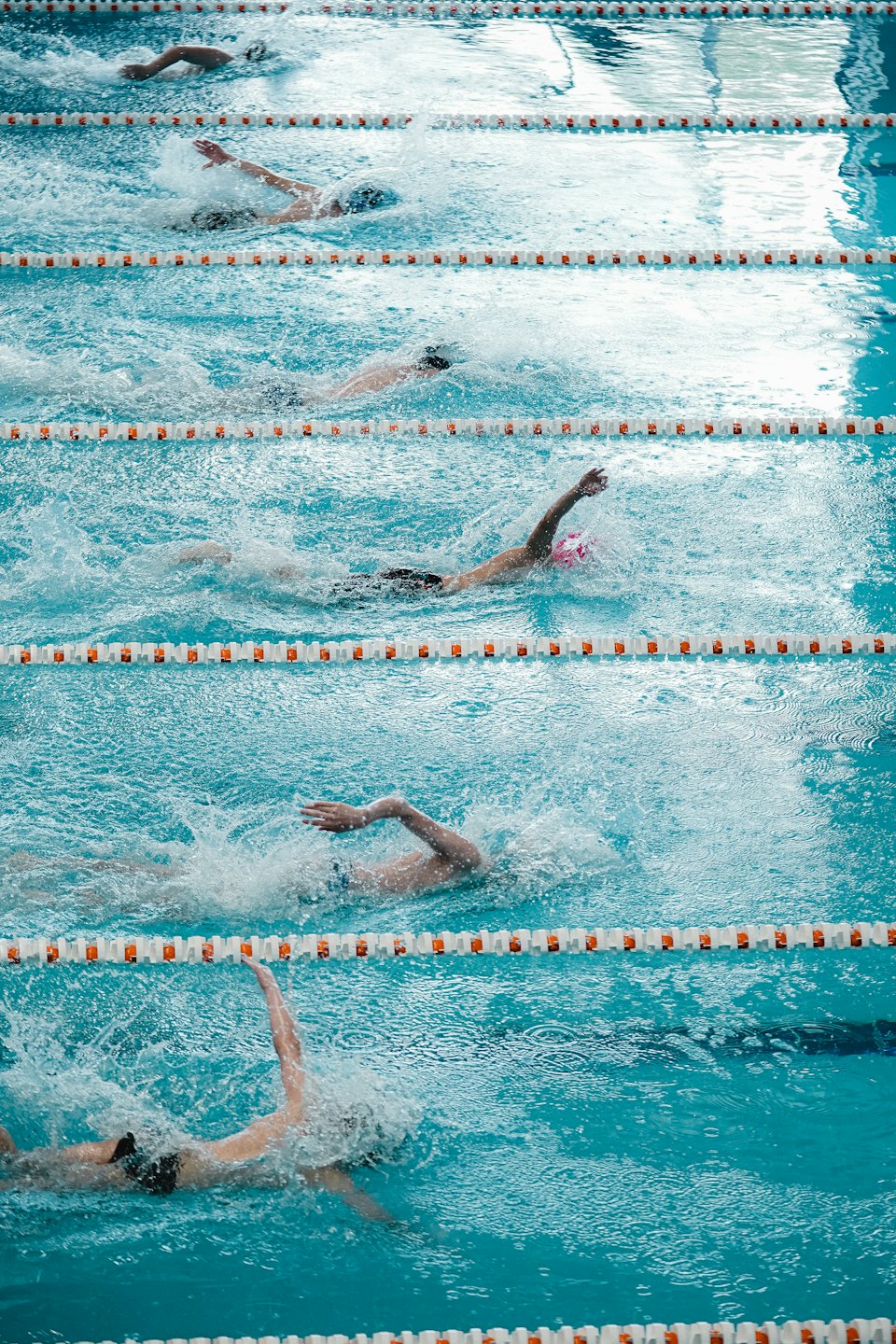 Des nageurs pratiquent le crawl dans une piscine intérieure.